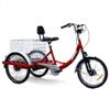Electric Trike / Bike