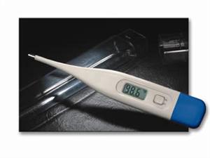 Adtemp II 413 Digital Thermometer