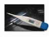 Adtemp II 413 Digital Thermometer