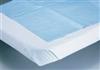 Disosable Sheets for Stretchers (40x90in)